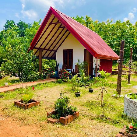 Sigiri Enaya Cottage Сігірія Екстер'єр фото