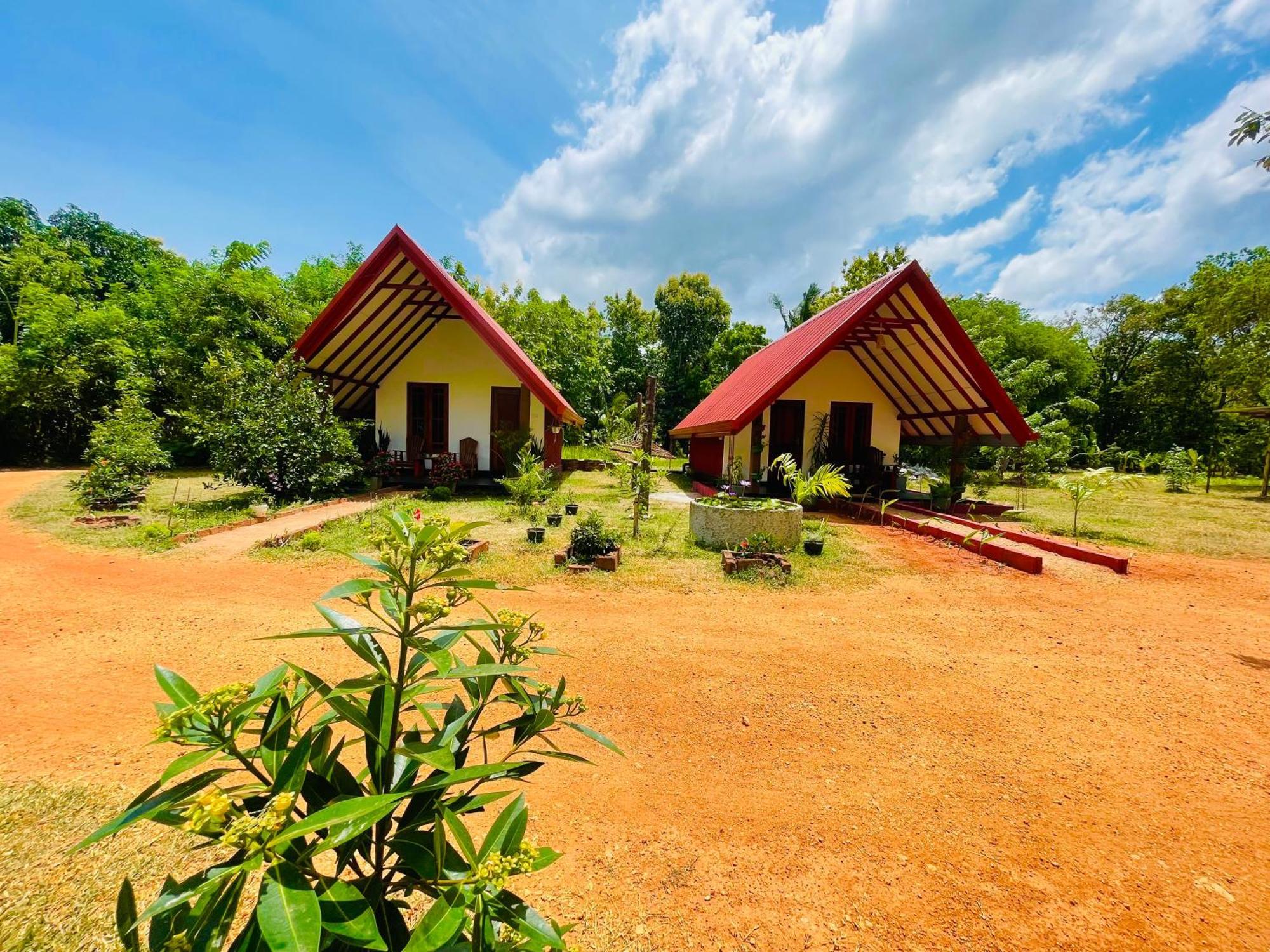 Sigiri Enaya Cottage Сігірія Екстер'єр фото