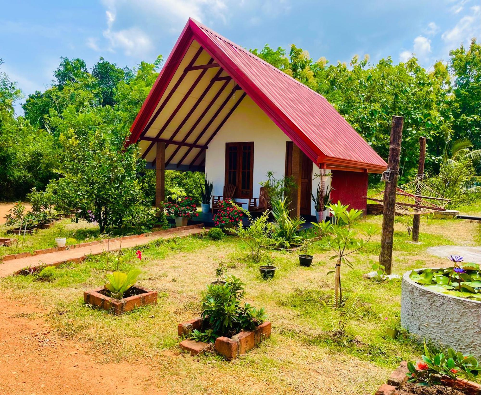 Sigiri Enaya Cottage Сігірія Екстер'єр фото